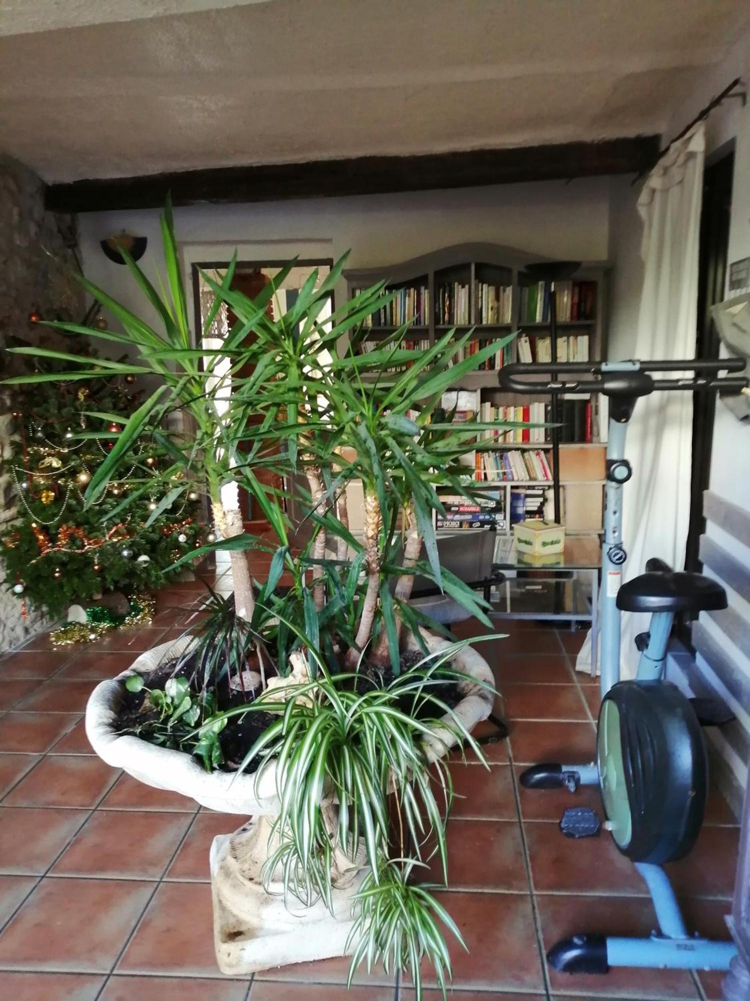 Belle Maison De Caractere Dans Village Et Sa Piscine Privee 7 Pers- 3 Chambres - 12 Rue Emile Zola Millas Kültér fotó